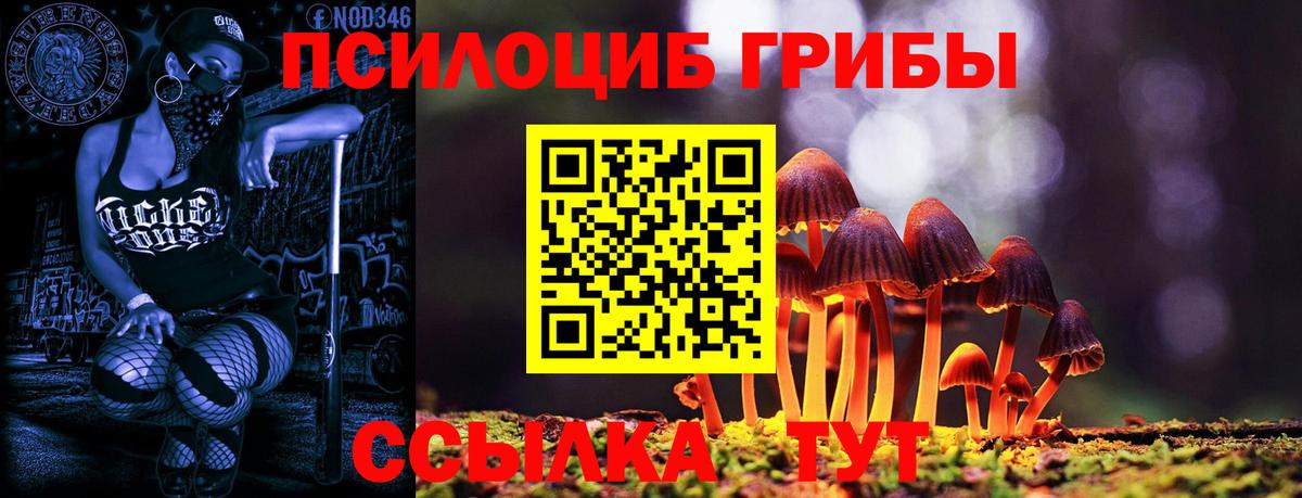 Армавир  где купить наркоту  Вход с VPN  Галлюциногенные грибы GOLDEN TEACHER 